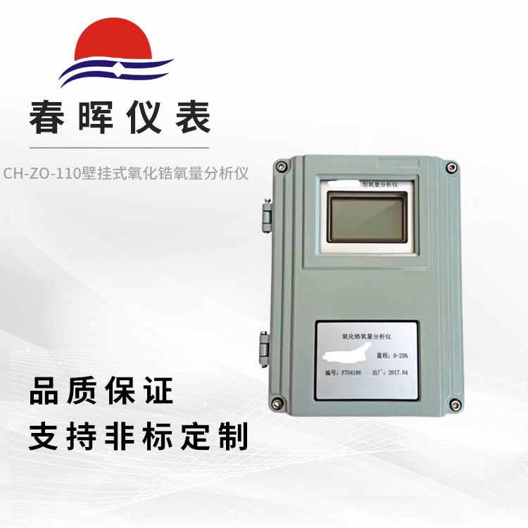 CH-ZO-110壁�焓窖趸��氧量分析�x（�D�Q器）