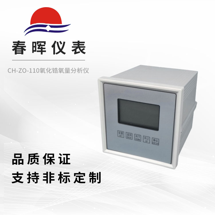 CH-ZO-110氧化�氧量分析�x（�D�Q器）